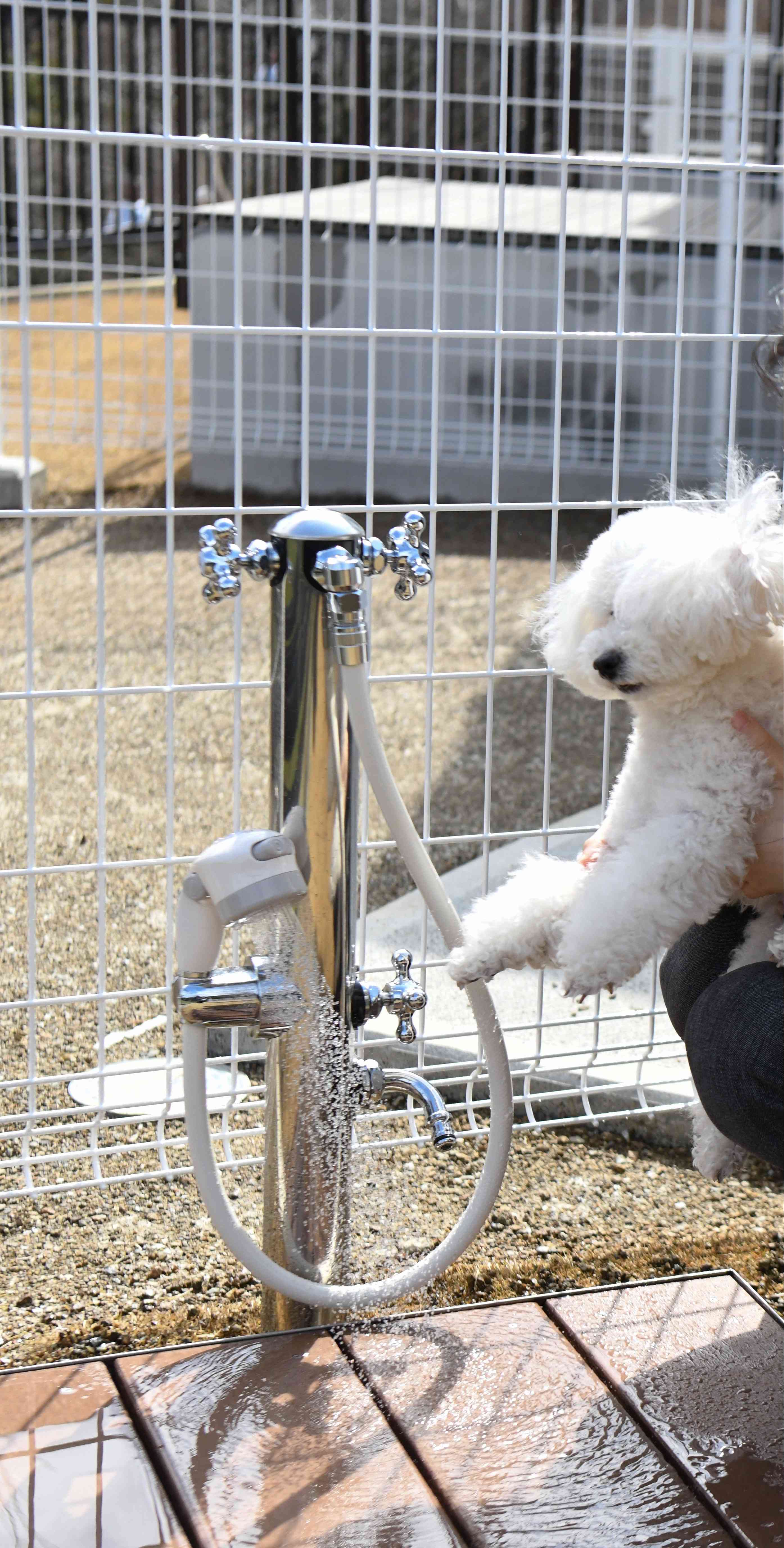 愛犬のアメニティも充実